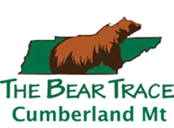 company image